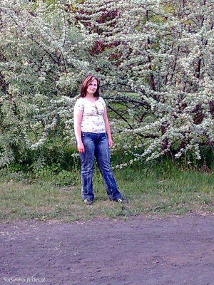 textile, jeans, denim, branch