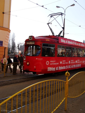 Zdjęcie 23098193