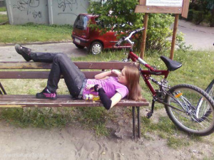 vehicle, bicycle