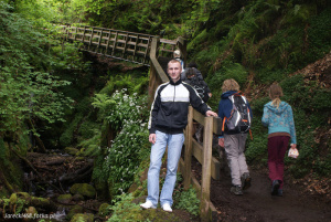 jeans, leisure, forest, jungle, backpacking