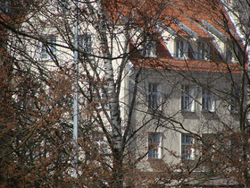 Zdjęcie 24221995