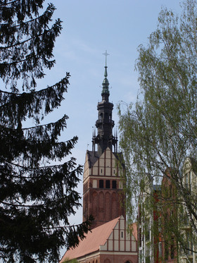 Zdjęcie 24224322