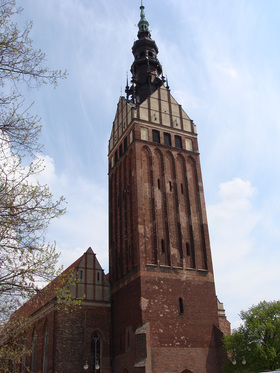 Zdjęcie 24224522