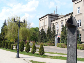 Zdjęcie 24224772