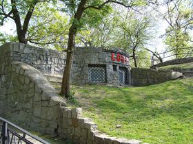 Zdjęcie 24224891