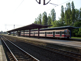 Zdjęcie 24255342