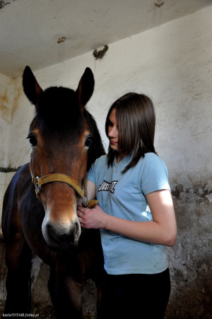 hair, horse, bridle, rein