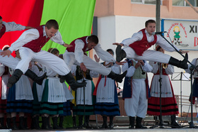 Zdjęcie 24408519