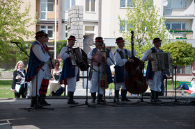 Zdjęcie 24408576