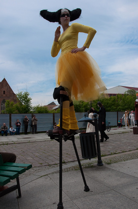 Zdjęcie 24416495