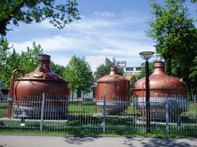 Zdjęcie 24499910