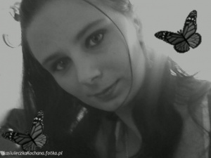 insect, butterfly
