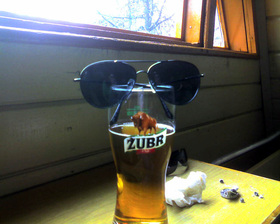 tajemniczy żubr ^^