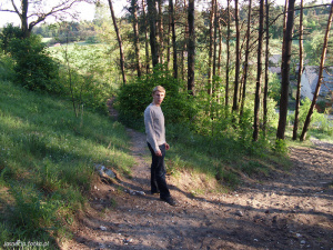 forest