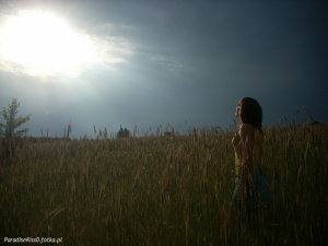 sky, prairie