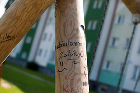 Zdjęcie 25494486