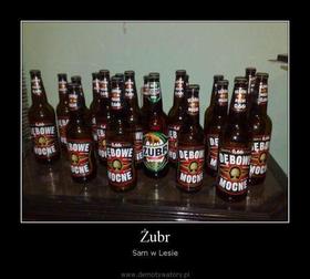 Zdjęcie 25782632