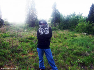 jeans, forest, mountain, jungle