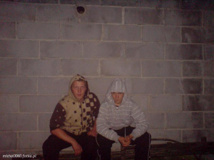 fun, sitting