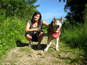 sitting, dog, pet