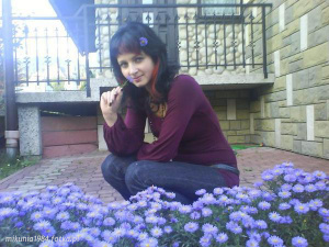 sitting, petal, flower