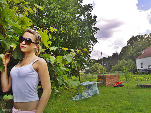 glasses, sunglasses