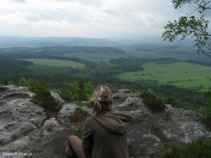forest, mountain