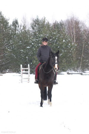 hair, horse, bridle, rein