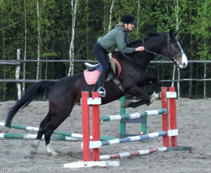 hair, person, horse, bridle, rein, sports
