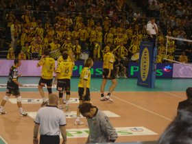 Zdjęcie 27498846