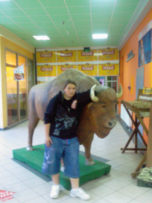 fun, leisure, toy