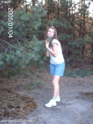 fun, forest, shorts