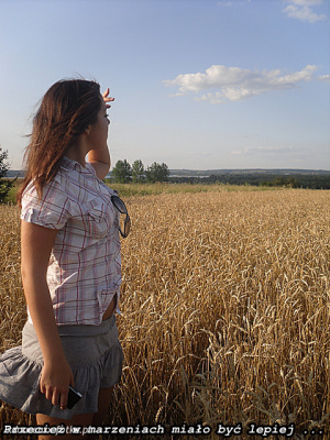 field, prairie