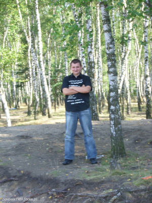 jeans, denim, forest