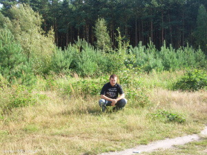 sitting