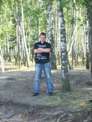 jeans, denim, forest