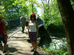 leisure, vacation, forest, jungle