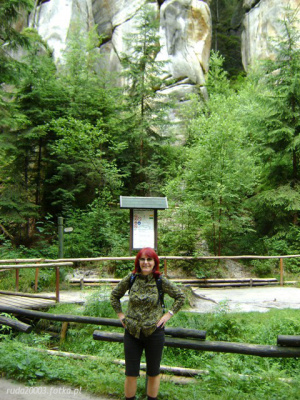 forest