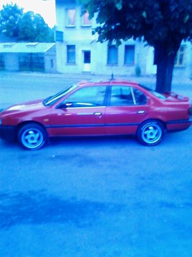 Zdjęcie 30803959