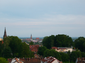 Zdjęcie 30828112