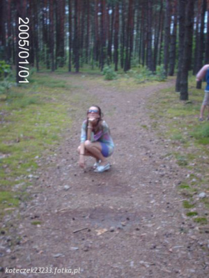 fun, sitting, forest