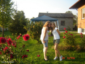 fun, leisure, petal, plant, flower, garden