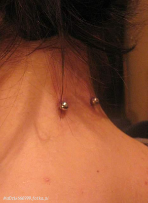 skin, muscle, ear