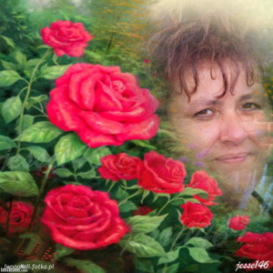 petal, plant, flower