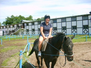 rein
