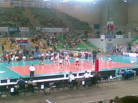Zdjęcie 33818145