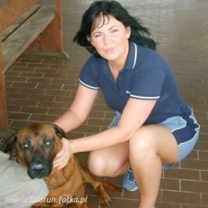 dog, pet