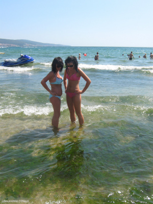 leisure, event, swimwear
