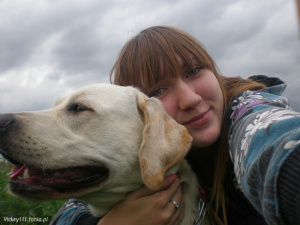 dog, pet
