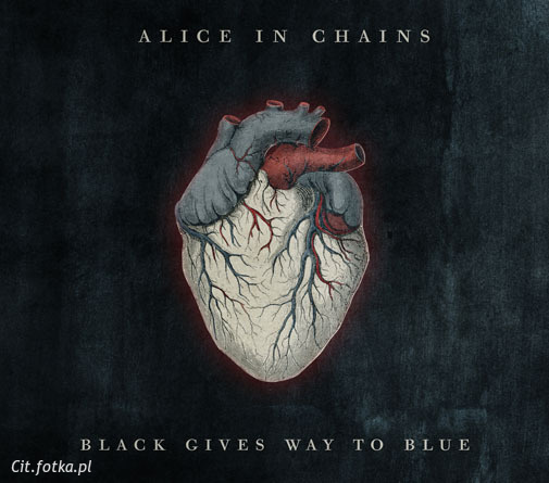 Fotki 2 - Rock/Metal - zdjęcie 44